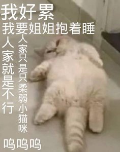 《霸道富婆愛上我》